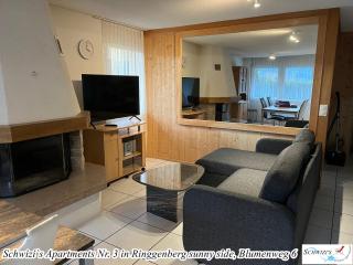 Schwizi's Apartments - Ringgenberg - 2