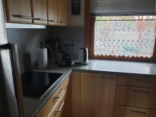 Ferienhaus Rose mit Sauna und HS-Card - Greschuk Apartments - Feldberg (Schwarzwald) - 1