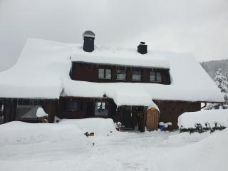 Am Sommerberg - Greschuk Apartments - Feldberg - 7