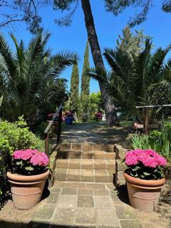 Toscana Holiday Village - Montopoli in Val dʼArno - 7