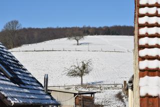 Ferienbauernhof Brandt - - 8