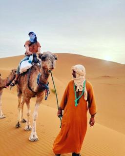 Palmyra Luxury Camp - 1