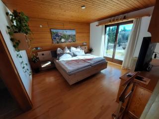 Ferienwohnung Tschengla mit eigener Sonnenterrasse - Wiese - Wlan - Netflix - Bürserberg - 1