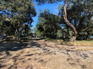 Les Terrasses des Gardies - Pignan - 1