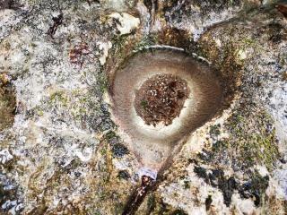 Le Mas de Chartreuse - 8