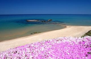 Owen Home Holiday - Castelsardo - 4