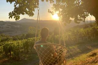 Villa Verdicchio - B&B with wellness for winelovers - Cupramontana - 4
