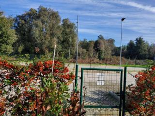 Appartamento 9 residance piviere - Calambrone - 7