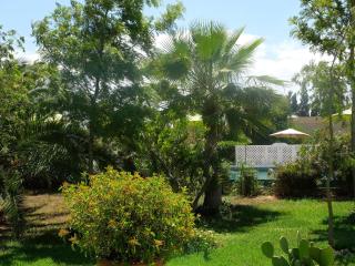 Les Cyprès - El Jadida - 4