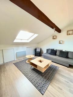 Pin's - Magnifique appartement - 1