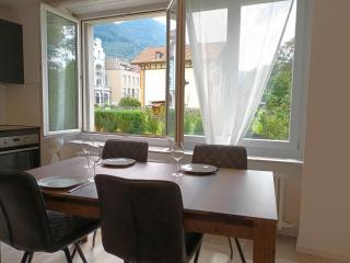 Henry's Apartments Interlaken - Interlaken - 6