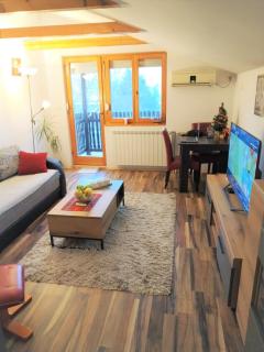 Apartment Viktor - Belgrado - 9