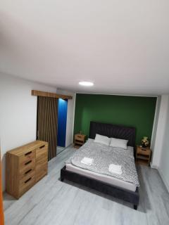 Noah Apartment - Uricani - 8