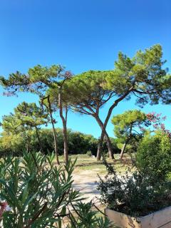 Les Salines Boyardville - Appart'Hotel - 3