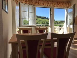 Ferienwohnung-Stuebenwasen-im-Gloecklehof-Todtnauberg-Schwarzwald - Todtnau - 5