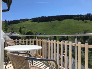 Ferienwohnung-Stuebenwasen-im-Gloecklehof-Todtnauberg-Schwarzwald - 2