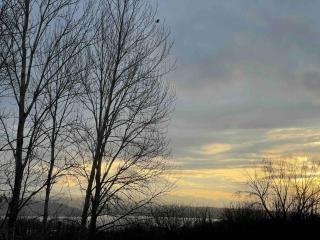 Lakeview Home by Lightrail Downtown & Airport - 7