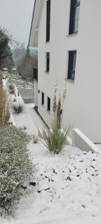 Apartment am Weinberg Kleinaspach - Aspach - 5