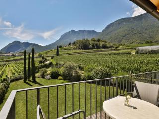 Weingut am Platzl - Appiano sulla Strada del Vino - 4