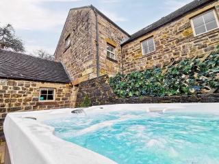 The Water Mill - Bradbourne - 1