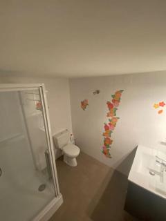 Gite 4 pers Le Tholy avec piscine privée - Le Tholy - 1