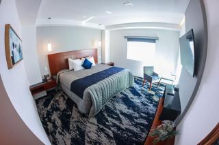 Hotel Fray Select - Tepic - 8