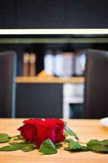 Dominikańska 9 – BeMyGuest! in Poznań - Poznan - 6