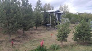 Cabaña Nothofagus PUQ - 1