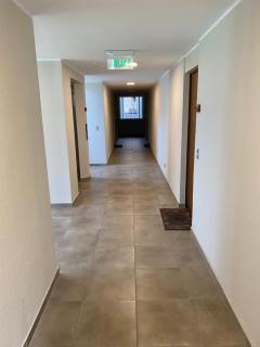 Lindo y Comodo Departamento Pucon - 3