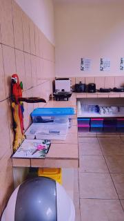 Alpha Arenal Hostel - 3