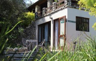 Wildebraam Berry Estate - Swellendam - 8