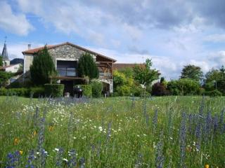 Gîte familial avec terrasse panoramique et cheminée, idéal pour randonnées près de Retournac - FR-1-582-355 - 4