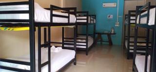 Painting Family Hostel - Khao Sok - 8