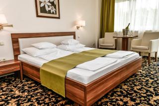 Simbad Hotel & Bar Superior - Mosonmagyaróvár - 4