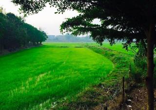 Chatchawan Resort - Ban Tha Sao - 5