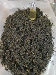 Munnar Tea Estate Bungalow - 9