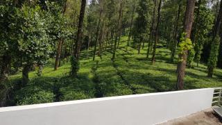 Munnar Tea Estate Bungalow - 5