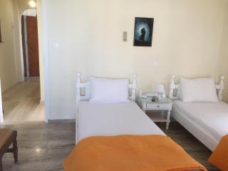 Villa Bonatsa Andros Home - Batsi - 1