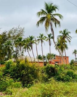 CDAC Elijah - Espace Culturel - Ouidah - 9