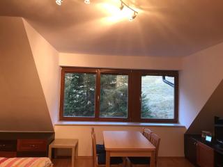 Švadla apartmán - Rokytnice nad Jizerou - 8