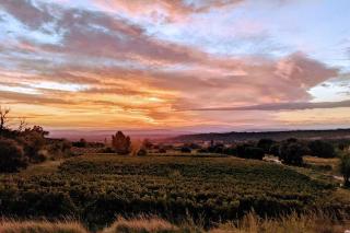 Mas de vigneron, en Drôme provencale - Rousset-les-Vignes - 7