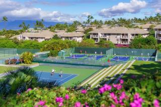 Aloha Moon - A Chic and Dreamy Modern Tropical Hideaway! - Wailea - 1