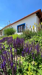 Chalupa Šakvice l Jižní Morava l Pálava - 6