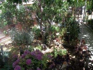 Apartman Antica - 2