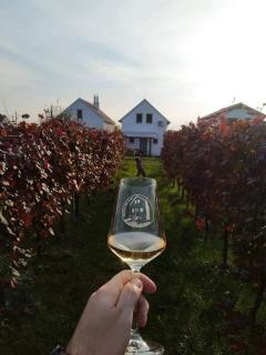 Vinoza - ubytování a vinný sklep Velké Bílovice Pod Vinicí - Velké Bílovice - 1
