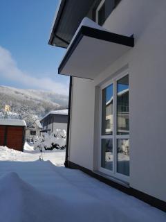 Harmonia Apartamenty Ustroń - Ustroń - 4