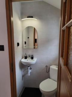 Willa Pieniny Apartament - Szczawnica - 9