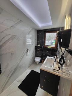 Willa Pieniny Apartament - 3