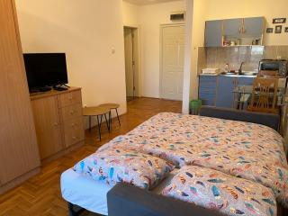 Studio Novi Sad - Novi Sad - 0