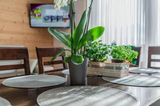 Apartamenty Gawlaki Zakopane - Zakopane - 6